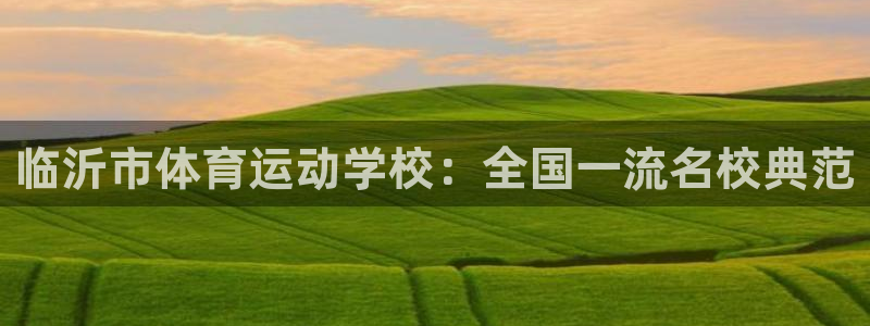凯发官方正版app娱乐:临沂市体育运动学校:全国一流名校典范
